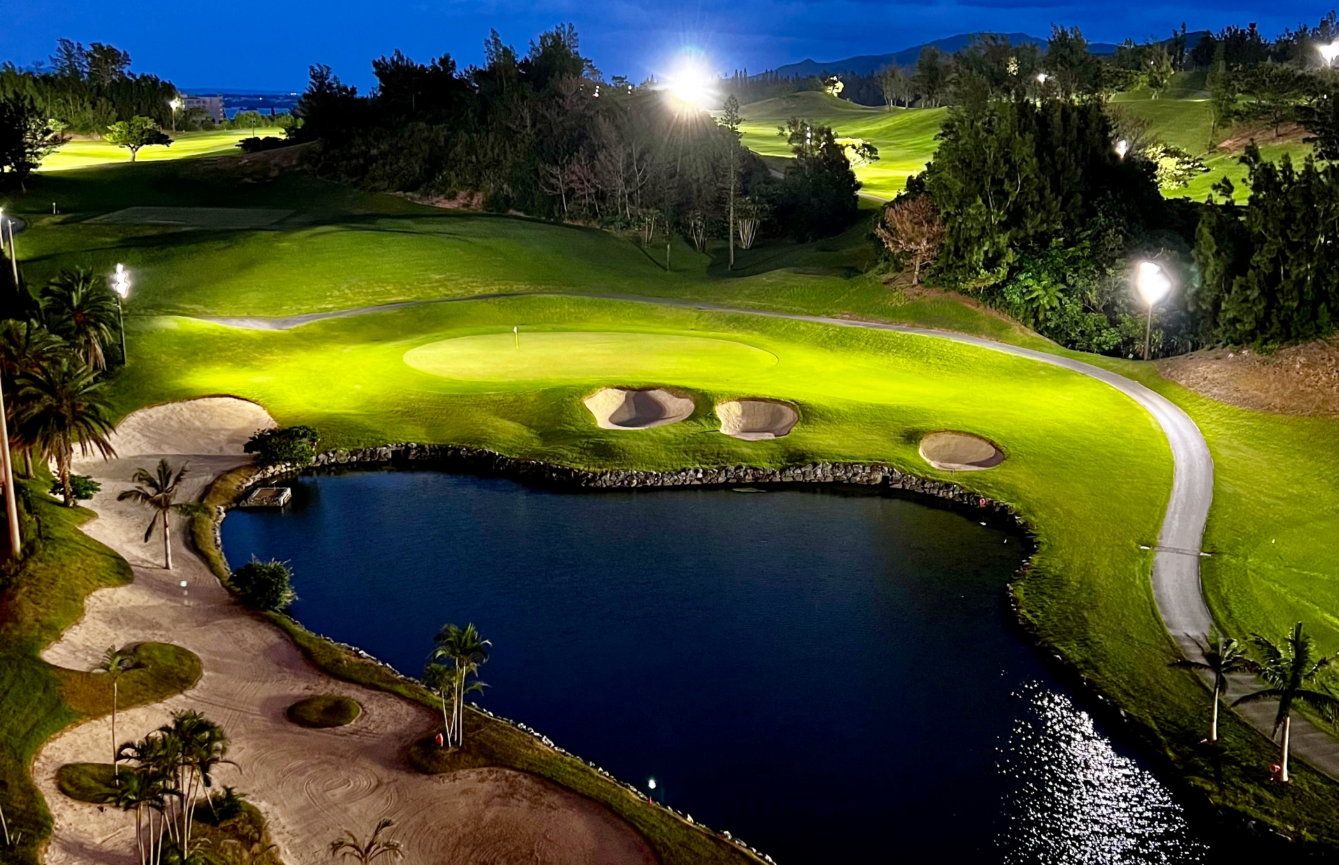 Service #2 night_golf